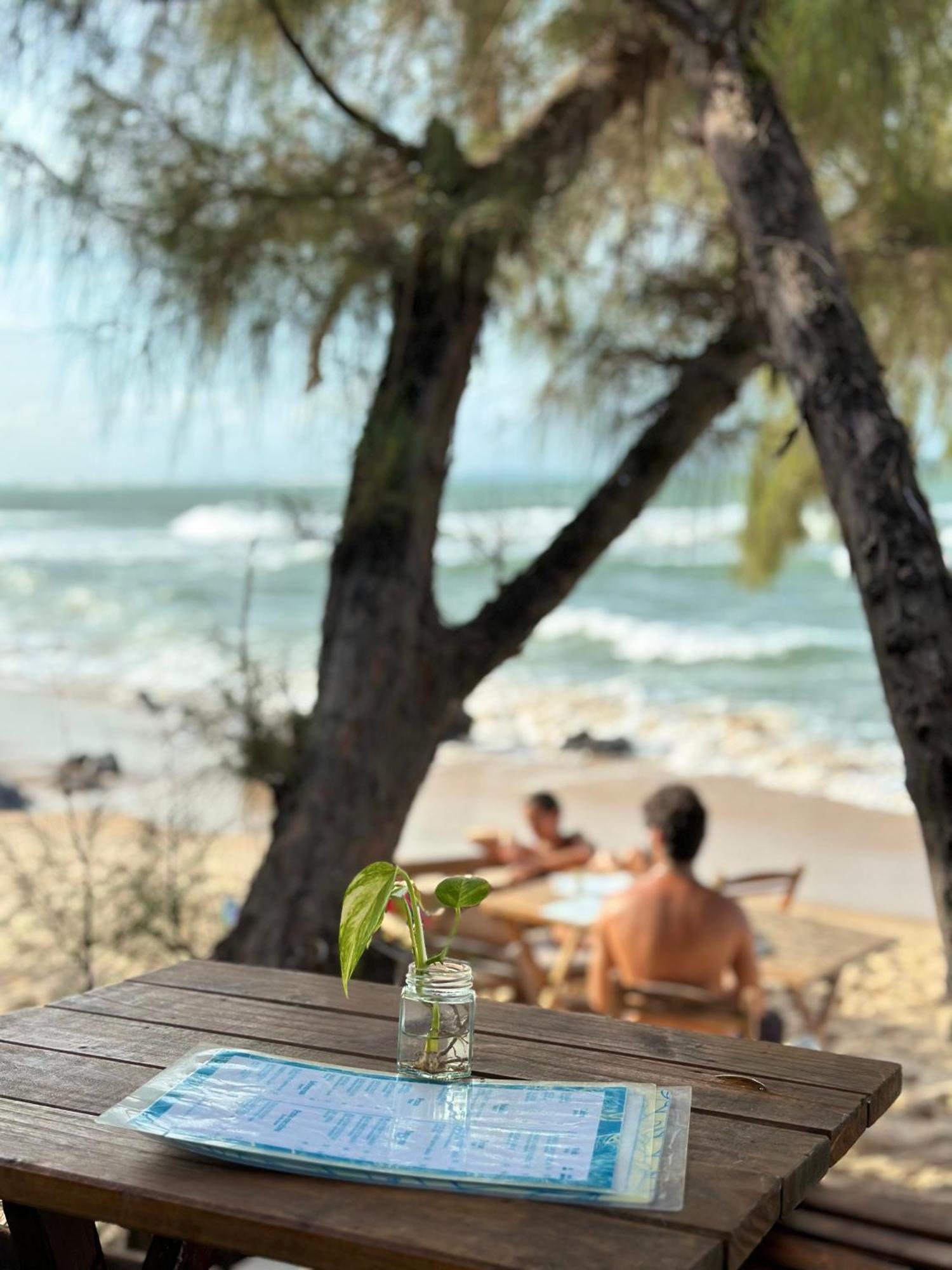 Pousada Paraíso das Tartarugas Praia de Pipa Exterior foto